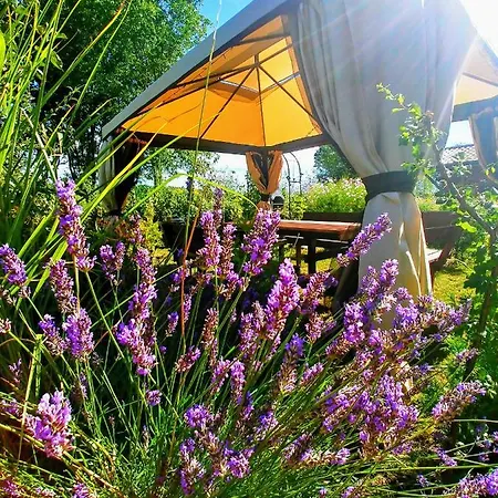 Rest In - Baltic Sea Manowo