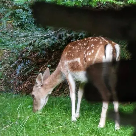 Ferienhaus Rest In - Baltic Sea Manowo
