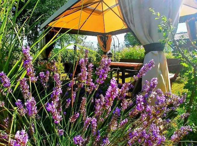 Rest In - Baltic Sea Manowo