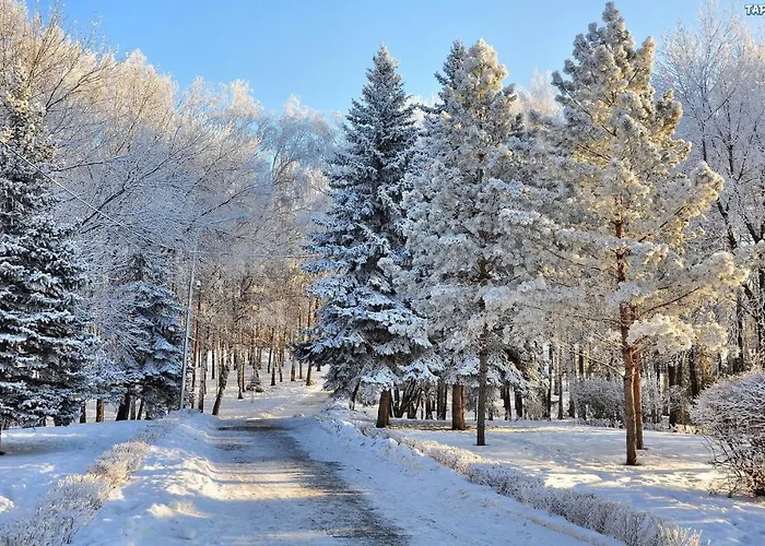 Rest In - Baltic Sea * Manowo