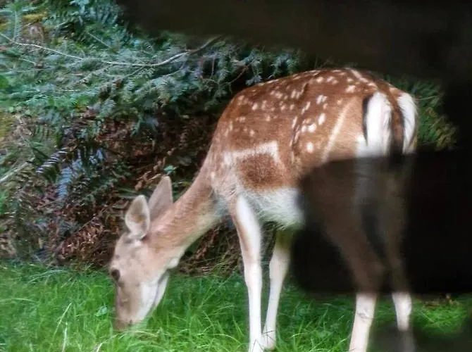 Nyaraló Rest In - Baltic Sea Manowo